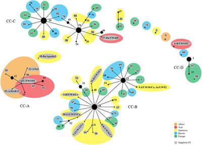 Chlamydia trachomatis Strain Types Have Diversified Regionally and Globally with Evidence for Recombination across Geographic Divides